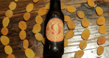 The OGs of Craft Beer – Magic Hat Brewing Company – #9