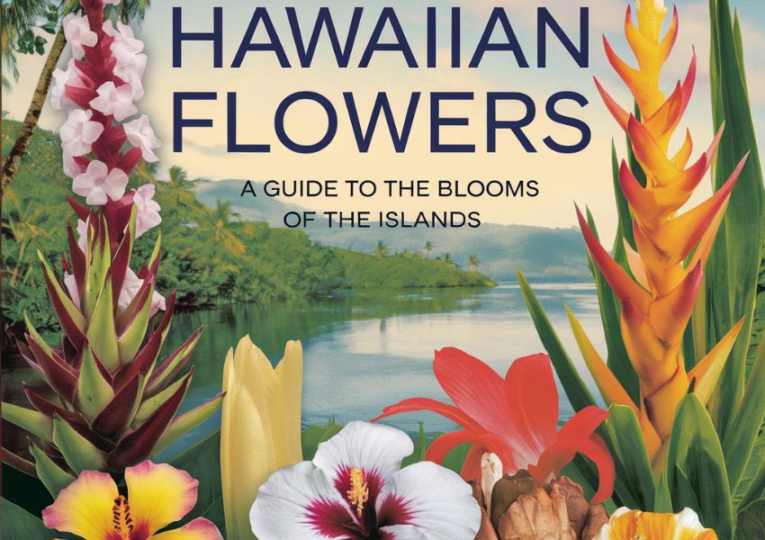 Hawaiian Flowers